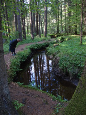 Foto: Wolfgang Dröthandl / Wandertour / Krebsenwandermeile Fresach / Der mäandernde Bach im Auwald / 18.05.2016 13:45:41