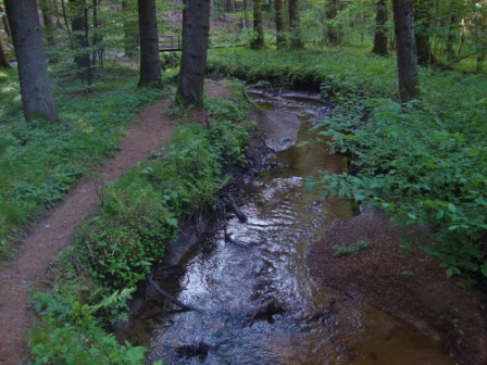 Foto: Wolfgang Dröthandl / Wandertour / Krebsenwandermeile Fresach / 18.05.2016 13:45:15