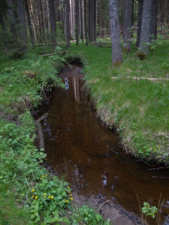 Foto: Wolfgang Dröthandl / Wandertour / Krebsenwandermeile Fresach / 18.05.2016 13:45:00