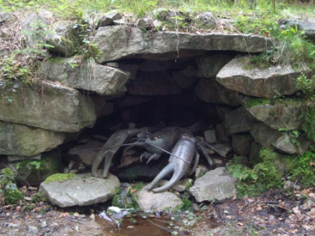 Foto: Wolfgang Dröthandl / Wandertour / Krebsenwandermeile Fresach / Krebshöhle - falls man keine echten Exemplare sieht... / 18.05.2016 13:44:40