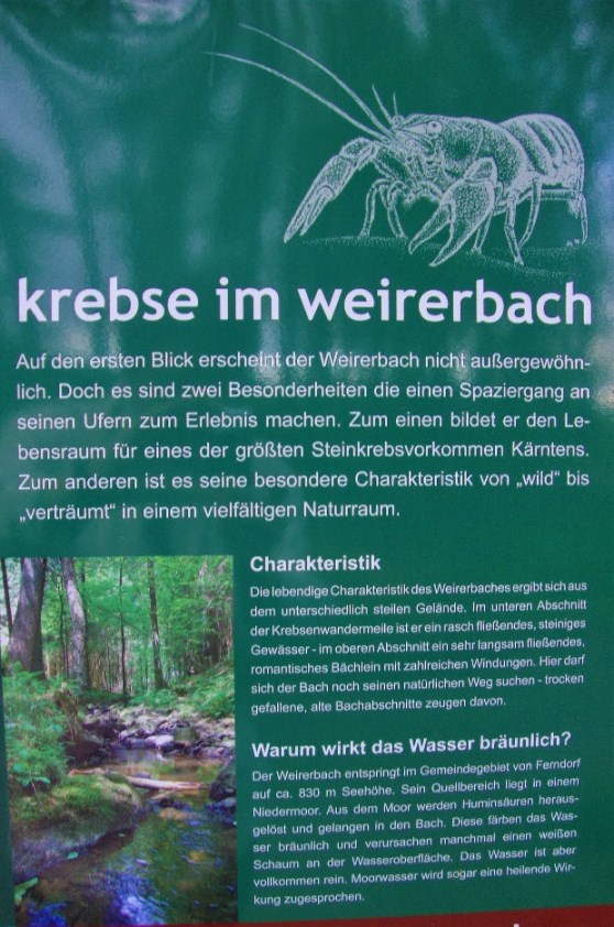 Foto: Wolfgang Dröthandl / Wandertour / Krebsenwandermeile Fresach / 18.05.2016 13:50:20