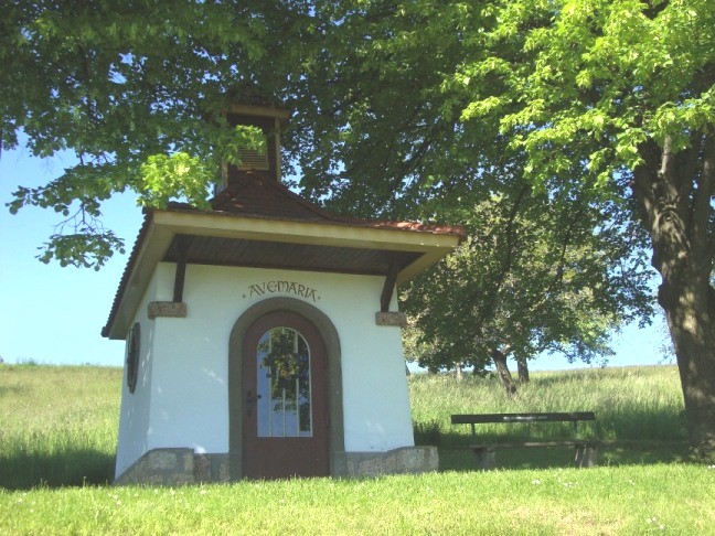 Foto: Wolfgang Dröthandl / Wandertour / Gösing - Überschreitung von Ternitz nach Grünbach / Schneeberg / In Döppling / 23.05.2016 16:02:19