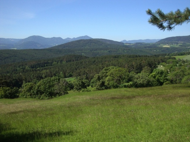 Foto: Wolfgang Dröthandl / Wandertour / Gösing - Überschreitung von Ternitz nach Grünbach / Schneeberg / Blick Richtung Südwesten, in Bildmitte der Sonnwendstein / 23.05.2016 16:01:56