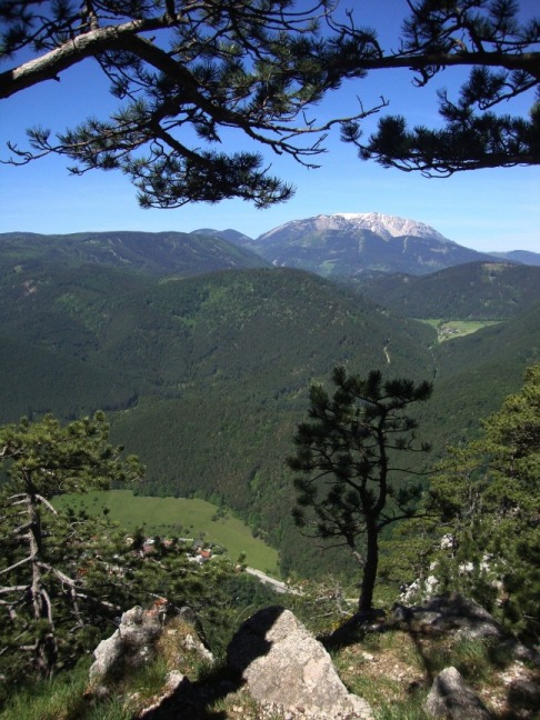 Foto: Wolfgang Dröthandl / Wandertour / Gösing - Überschreitung von Ternitz nach Grünbach / Schneeberg / Blick vom Schneebergbankerl am Gösing / 23.05.2016 16:03:52