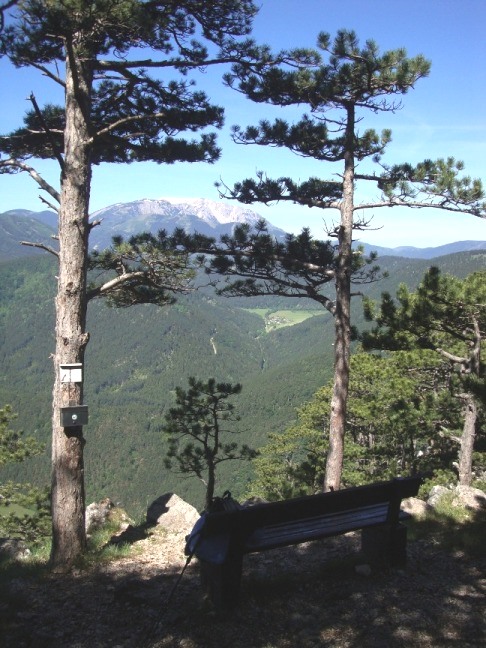 Foto: Wolfgang Dröthandl / Wandertour / Gösing - Überschreitung von Ternitz nach Grünbach / Schneeberg / Schneebergbankerl, knapp unterhalb des Gösing (Gipfelbuch auch hier!) / 23.05.2016 16:00:20