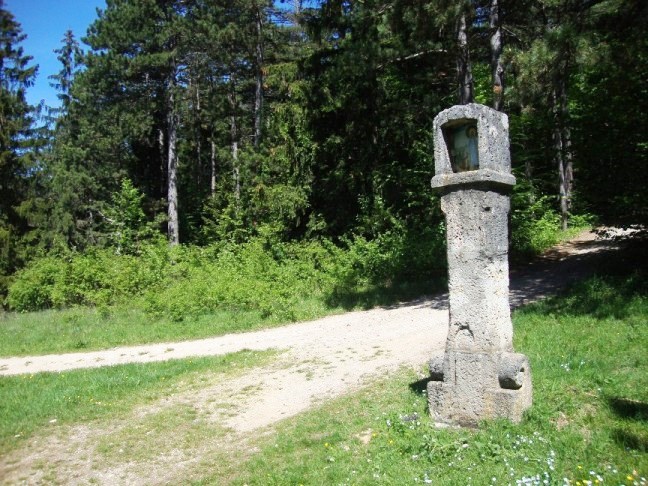 Foto: Wolfgang Dröthandl / Wandertour / Gösing - Überschreitung von Ternitz nach Grünbach / Schneeberg / Flatzer Anger / 23.05.2016 15:57:40