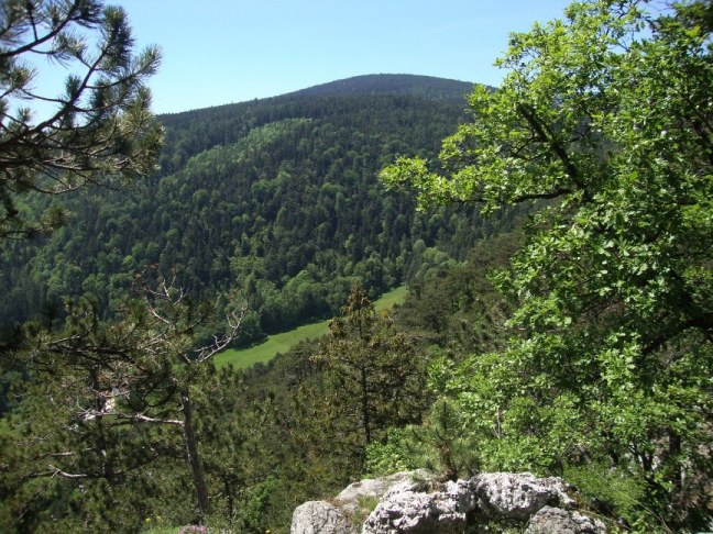 Foto: Wolfgang Dröthandl / Wandertour / Gösing - Überschreitung von Ternitz nach Grünbach / Schneeberg / Auf dem Weg ober der Flatzer Wand - Blick zurück zum Gösing / 23.05.2016 15:54:55
