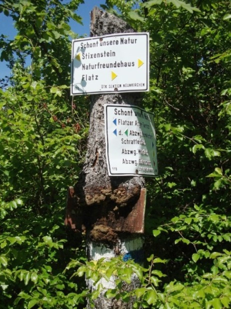 Foto: Wolfgang Dröthandl / Wandertour / Gösing - Überschreitung von Ternitz nach Grünbach / Schneeberg / Weg abschnittsweise selten begangen... / 23.05.2016 15:52:21