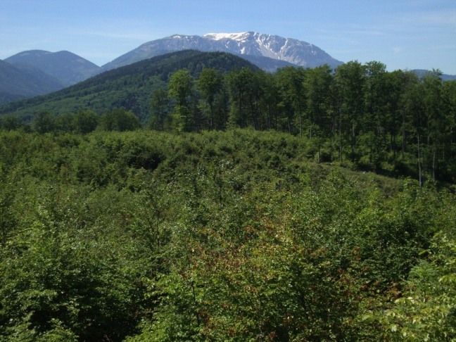 Foto: Wolfgang Dröthandl / Wandertour / Gösing - Überschreitung von Ternitz nach Grünbach / Schneeberg / Immer wieder eindrucksvoll: Schneeberg / 23.05.2016 15:50:32