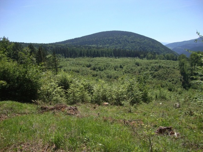 Foto: Wolfgang Dröthandl / Wandertour / Gösing - Überschreitung von Ternitz nach Grünbach / Schneeberg / Blick zurück auf den Gösing (Felsabstürze Richtung Sierningtal nicht sichtbar) / 23.05.2016 15:50:09