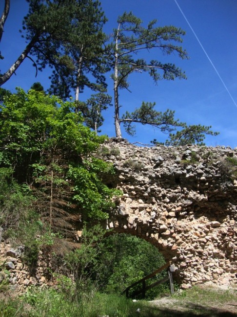 Foto: Wolfgang Dröthandl / Wandertour / Gösing - Überschreitung von Ternitz nach Grünbach / Schneeberg / Ruine Schrattenstein / 23.05.2016 15:48:20