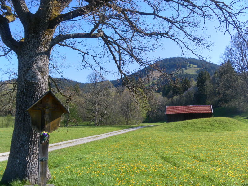 Foto: Wolfgang Lauschensky / Wandertour / Hörnleüberschreitung von Unterammergau / Start auf Teerstraße / 24.05.2016 21:33:14