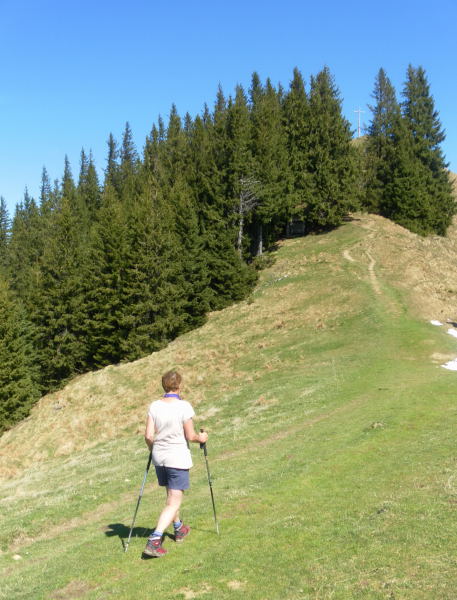 Foto: Wolfgang Lauschensky / Wandertour / Hörnleüberschreitung von Unterammergau / Südgratrücken des Hinteren Hörnles / 24.05.2016 21:31:49