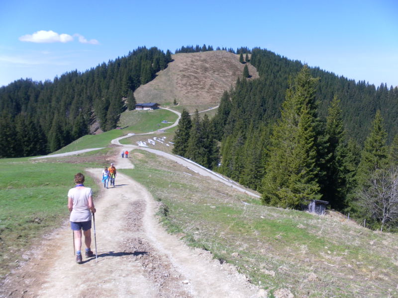 Foto: Wolfgang Lauschensky / Wandertour / Hörnleüberschreitung von Unterammergau / Hörnle Alm und Mittleres Hörnle / 24.05.2016 21:31:12