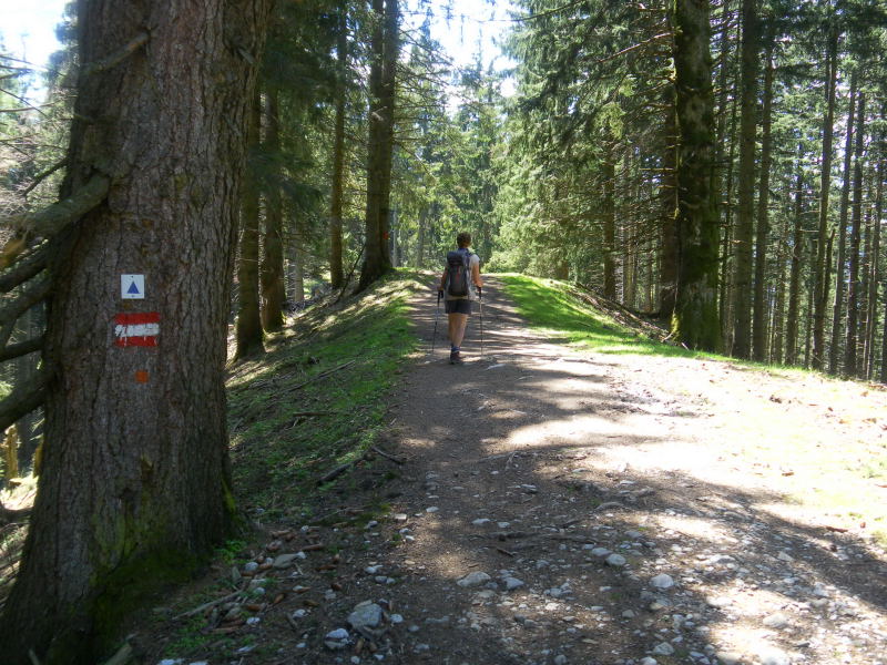 Foto: Wolfgang Lauschensky / Wandertour / Hörnleüberschreitung von Unterammergau / Südrücken / 24.05.2016 21:29:37