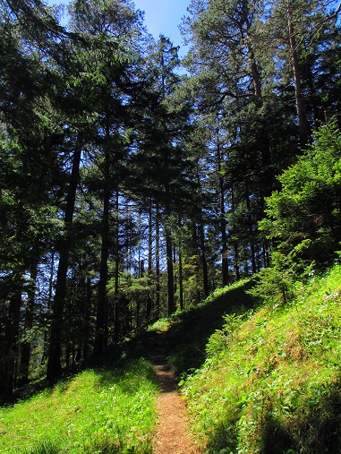 Foto: Andreas Koller / Klettersteigtour / Klettersteig Spielmäuer: Tristans Kirchbogensteig (1360m) / 03.06.2016 17:56:07