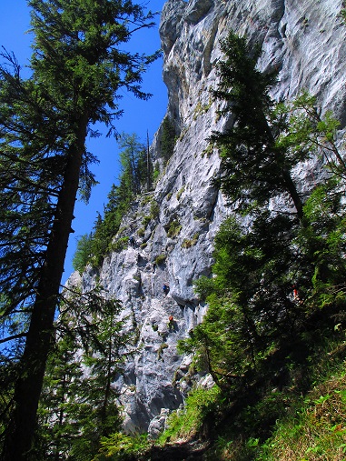 Foto: Andreas Koller / Klettersteigtour / Klettersteig Spielmäuer: Tristans Kirchbogensteig (1360m) / Wandfuß / 03.06.2016 17:55:51