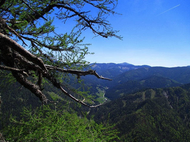 Foto: Andreas Koller / Klettersteigtour / Klettersteig Spielmäuer: Tristans Kirchbogensteig (1360m) / 03.06.2016 17:47:47