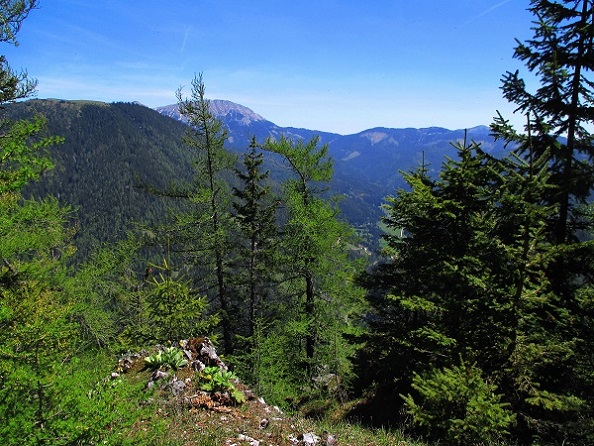 Foto: Andreas Koller / Klettersteigtour / Klettersteig Spielmäuer: Tristans Kirchbogensteig (1360m) / Abstieg / 03.06.2016 17:45:45