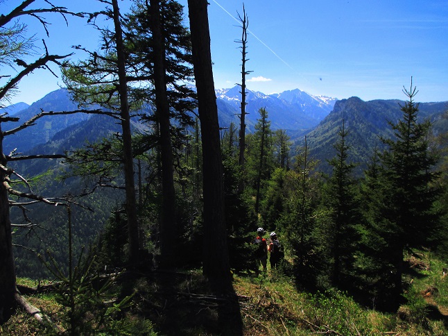 Foto: Andreas Koller / Klettersteigtour / Klettersteig Spielmäuer: Tristans Kirchbogensteig (1360m) / 03.06.2016 17:45:19