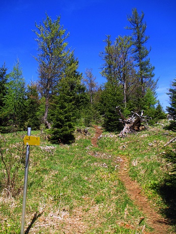 Foto: Andreas Koller / Klettersteigtour / Klettersteig Spielmäuer: Tristans Kirchbogensteig (1360m) / 03.06.2016 17:44:38
