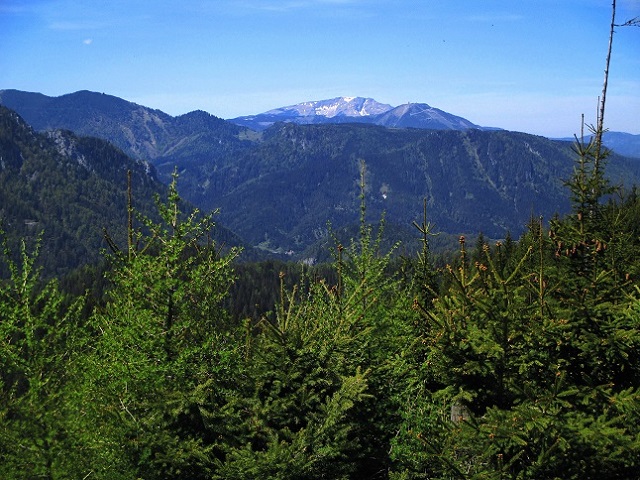 Foto: Andreas Koller / Klettersteigtour / Klettersteig Spielmäuer: Tristans Kirchbogensteig (1360m) / Ötscher (1894m) / 03.06.2016 17:44:16