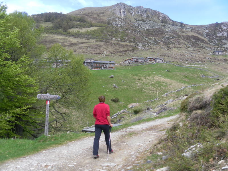 Foto: Wolfgang Lauschensky / Wandertour / Monte Berlinghera 1666m / Alpe di Mezzo und Bocchetta Chiaro / 05.06.2016 14:39:06