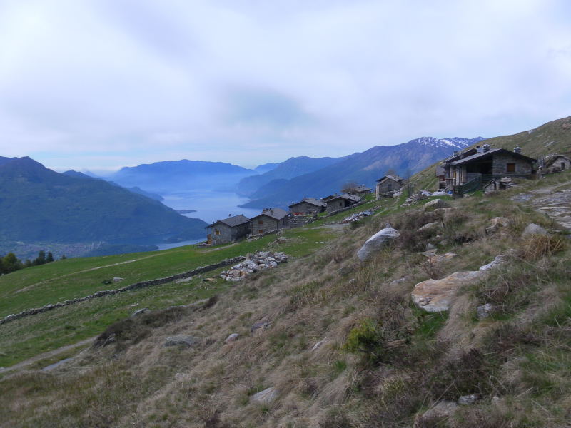 Foto: Wolfgang Lauschensky / Wandertour / Monte Berlinghera 1666m / Alpe di Mezzo und Comosee / 05.06.2016 14:38:51