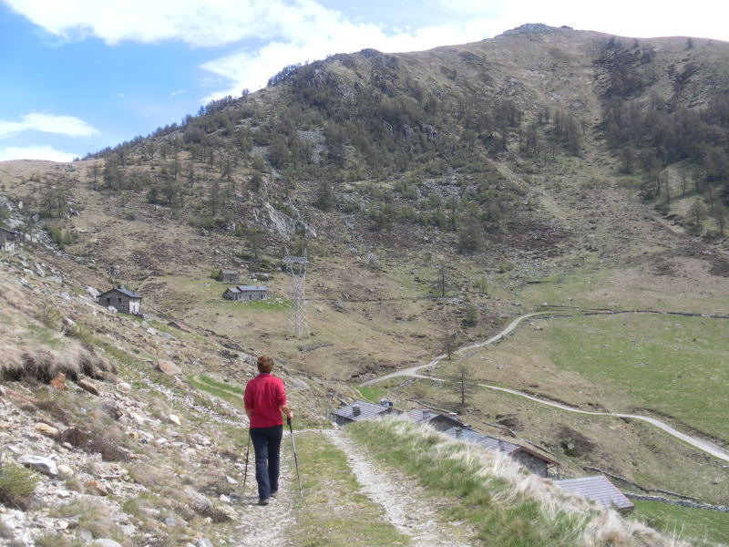 Foto: Wolfgang Lauschensky / Wandertour / Monte Berlinghera 1666m / Bocchetta Chiaro und NW-Gratrücken / 05.06.2016 14:38:40