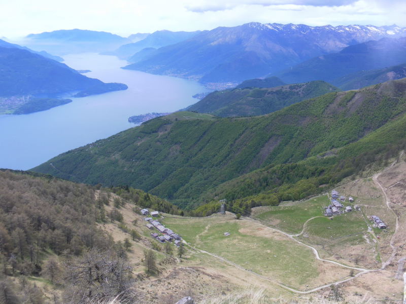Foto: Wolfgang Lauschensky / Wandertour / Monte Berlinghera 1666m / Alpe Pescedo und Alpe di Mezzo / 05.06.2016 14:37:45