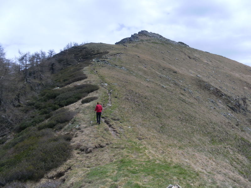 Foto: Wolfgang Lauschensky / Wandertour / Monte Berlinghera 1666m / Nordwestgrat / 05.06.2016 14:37:32