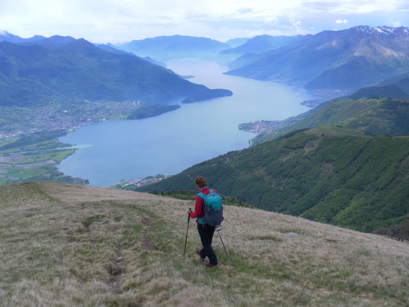 Foto: Wolfgang Lauschensky / Wandertour / Monte Berlinghera 1666m / Südrückenabstieg / 05.06.2016 14:36:27