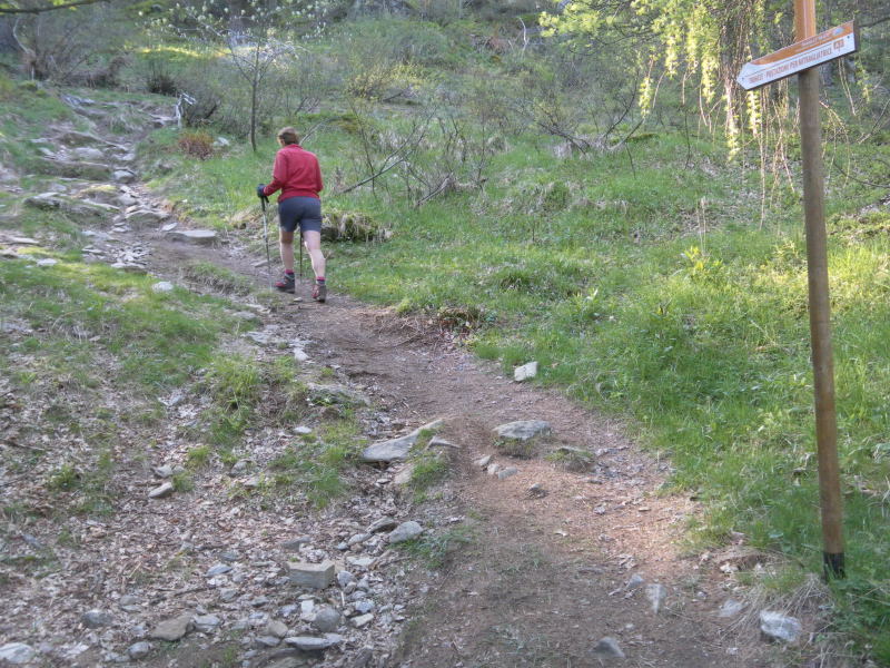 Foto: Wolfgang Lauschensky / Wandertour / Monte Legnoncino 1714m / Sentiero Roccoli Lorla / 05.06.2016 18:21:19