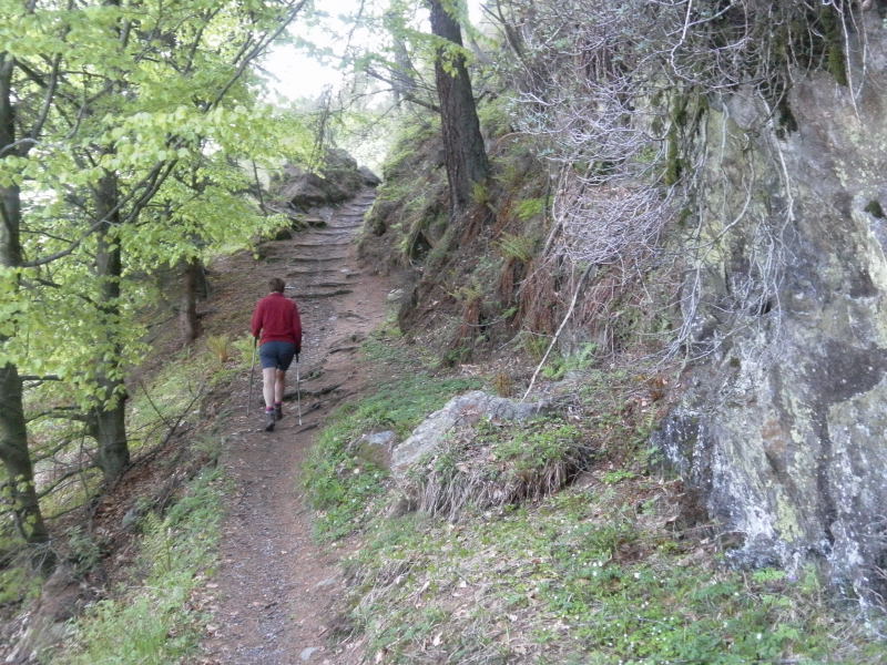Foto: Wolfgang Lauschensky / Wandertour / Monte Legnoncino 1714m / schöner Wanerpfad / 05.06.2016 18:20:49