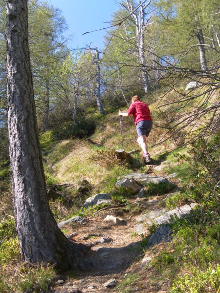Foto: Wolfgang Lauschensky / Wandertour / Monte Legnoncino 1714m / kurze steilere Schrofenstufe / 05.06.2016 18:19:42