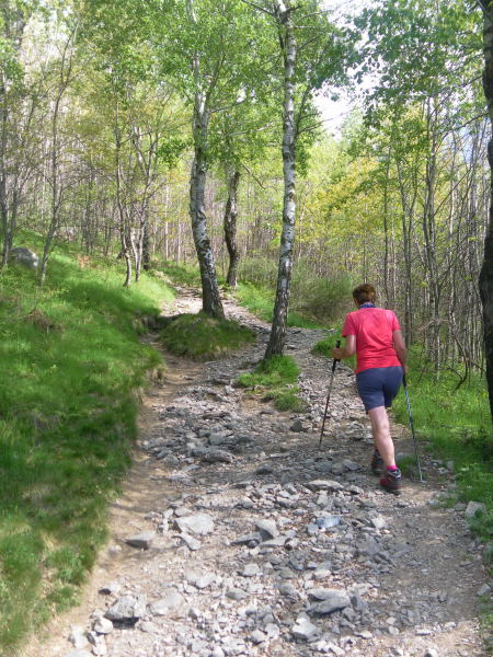 Foto: Wolfgang Lauschensky / Wandertour / Monte Bregagno 2107m / Weg zum Rifugio Menaggio / 05.06.2016 20:58:28
