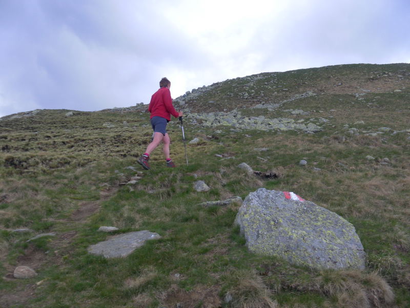 Foto: Wolfgang Lauschensky / Wandertour / Monte Bregagno 2107m / Gipfelgrat des Bregagnino / 05.06.2016 20:56:58