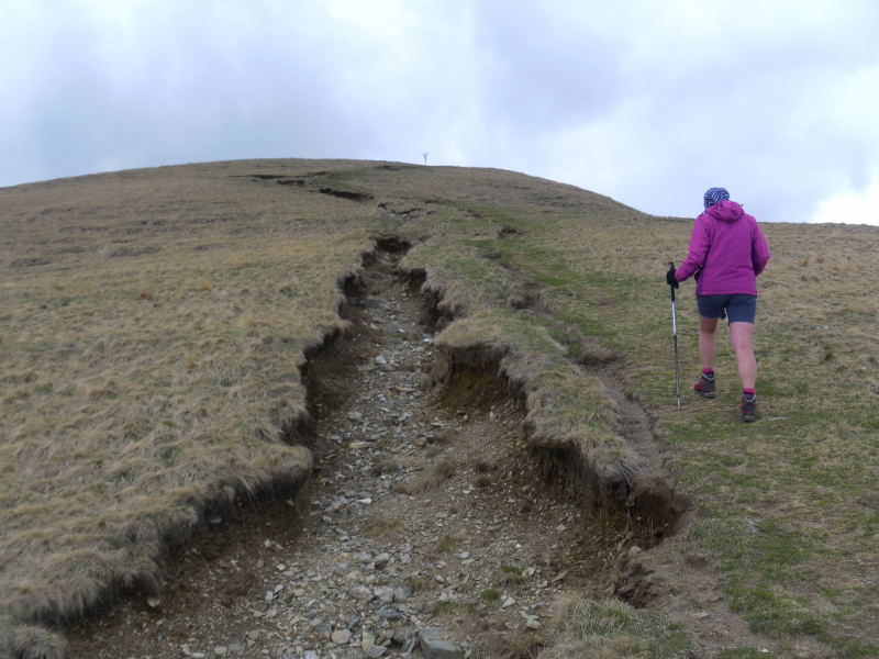 Foto: Wolfgang Lauschensky / Wandertour / Monte Bregagno 2107m / Gipfelanstieg / 05.06.2016 20:56:21