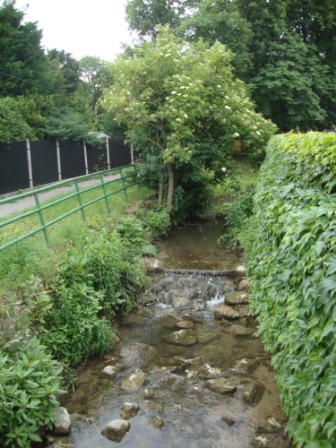 Foto: Wolfgang Dröthandl / Wandertour / Wiener Bezirks - Kulturwanderweg 23: Liesing / Am Ambrosweg (Pfitznergasse) / 13.06.2016 12:51:21
