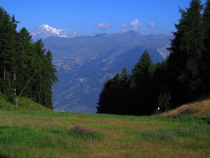 Foto: Andreas Koller / Wandertour / Becca di Nona - Wächter über Aosta (3142m) / 20.06.2016 01:30:02