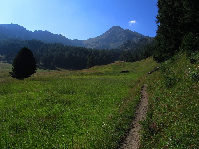 Foto: Andreas Koller / Wandertour / Becca di Nona - Wächter über Aosta (3142m) / 20.06.2016 01:29:44