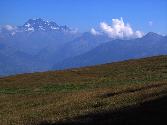 Foto: Andreas Koller / Wandertour / Becca di Nona - Wächter über Aosta (3142m) / Grand Combin (4314m) / 20.06.2016 01:29:36