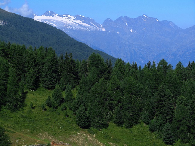 Foto: Andreas Koller / Wandertour / Becca di Nona - Wächter über Aosta (3142m) / Rutor-Gruppe / 20.06.2016 01:29:03