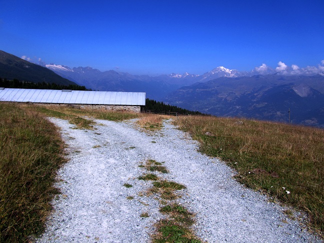 Foto: Andreas Koller / Wandertour / Becca di Nona - Wächter über Aosta (3142m) / 20.06.2016 01:28:08