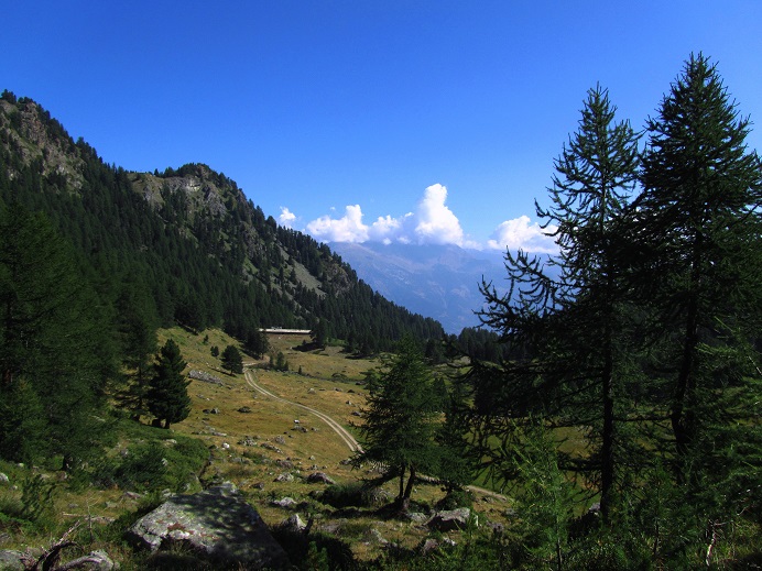 Foto: Andreas Koller / Wandertour / Becca di Nona - Wächter über Aosta (3142m) / 20.06.2016 01:27:19