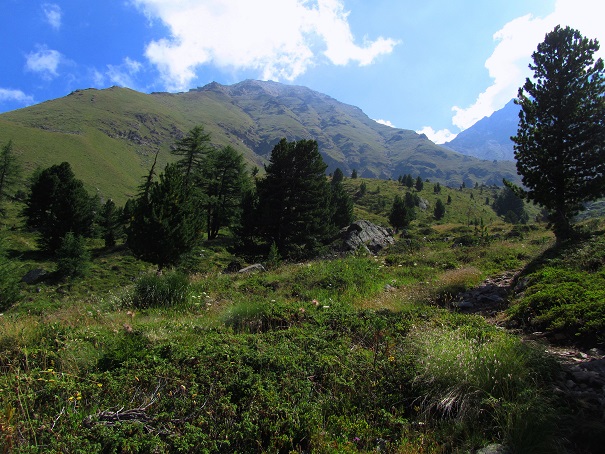 Foto: Andreas Koller / Wandertour / Becca di Nona - Wächter über Aosta (3142m) / 20.06.2016 01:25:14