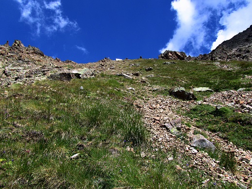 Foto: Andreas Koller / Wandertour / Becca di Nona - Wächter über Aosta (3142m) / Steiler Abstieg vom Biv. Federigo Zullo / 20.06.2016 01:12:15