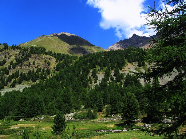 Foto: Andreas Koller / Wandertour / Becca di Nona - Wächter über Aosta (3142m) / 20.06.2016 01:10:28