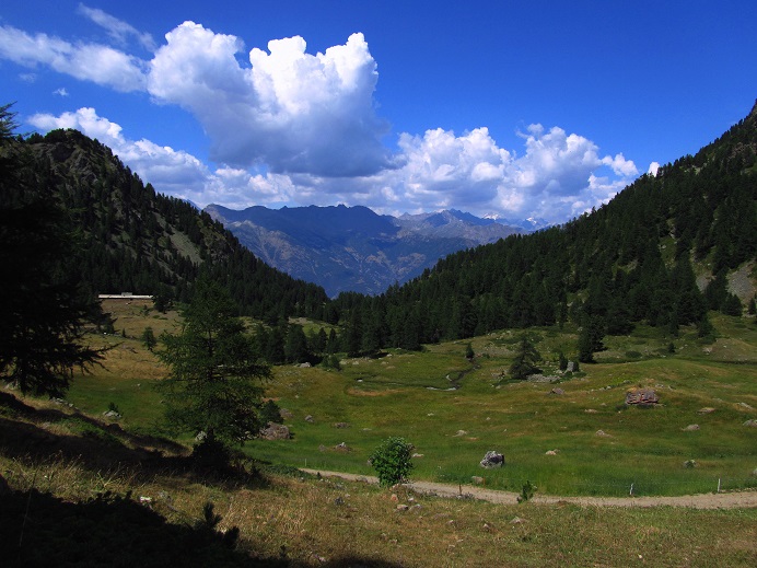Foto: Andreas Koller / Wandertour / Becca di Nona - Wächter über Aosta (3142m) / 20.06.2016 01:10:14