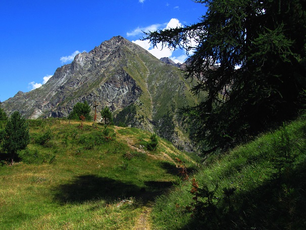 Foto: Andreas Koller / Wandertour / Becca di Nona - Wächter über Aosta (3142m) / Becca di Nona / 20.06.2016 01:10:01